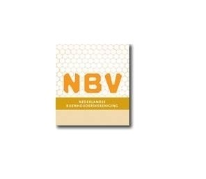 NBV image 1